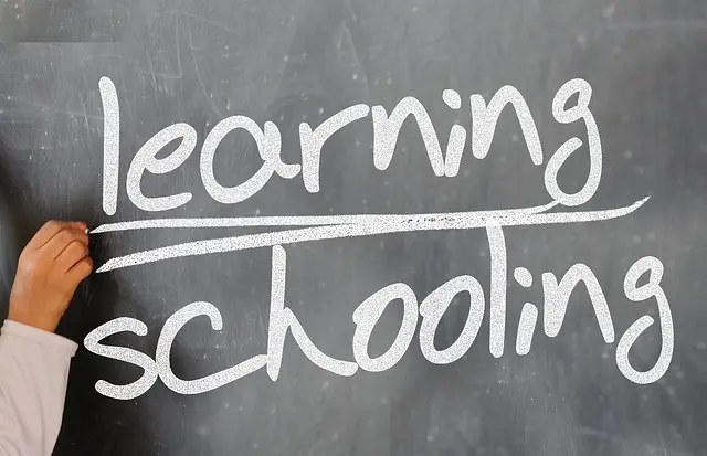 Cómo seleccionar la mejor plataforma educativa para tu aprendizaje