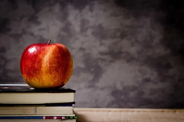 Cómo aplicar la neuroeducación para mejorar el aprendizaje