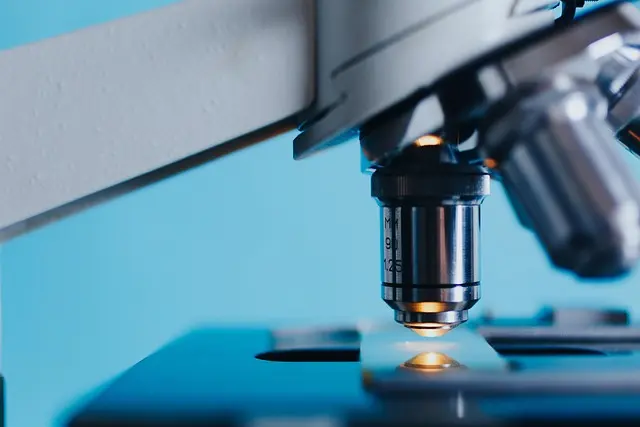 Cómo maximizar tu aprendizaje con técnicas efectivas