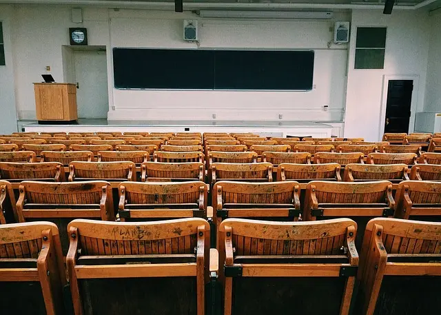 Cómo utilizar la neuroeducación para potenciar el aprendizaje